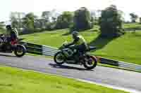 Middle Group Green Bikes